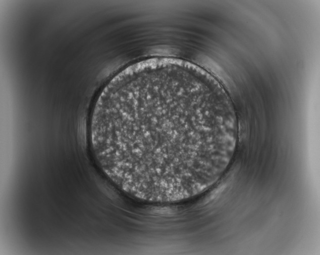 X0000093490349200711091649