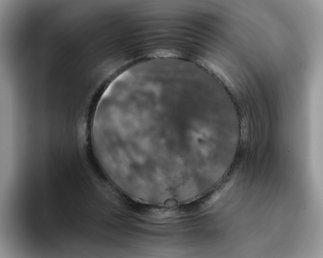 X0000093490351200711091649