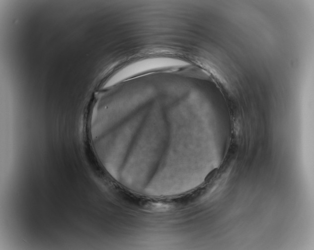 X0000093490352200711091649