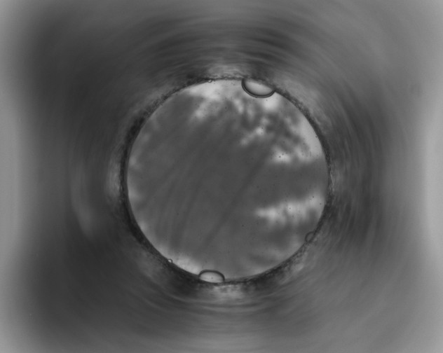 X0000093490353200711091649