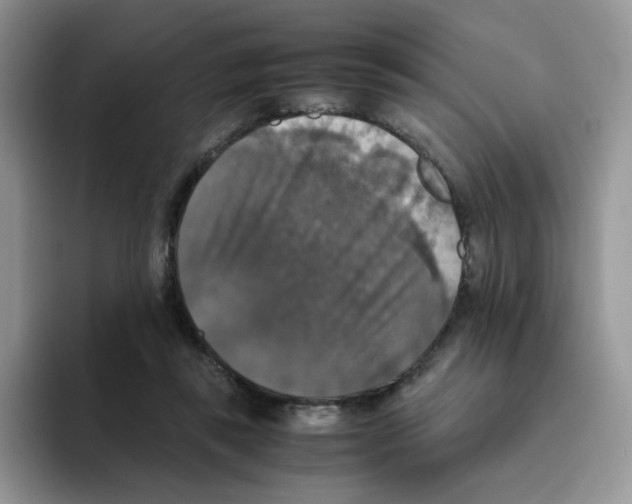 X0000093490355200711091649