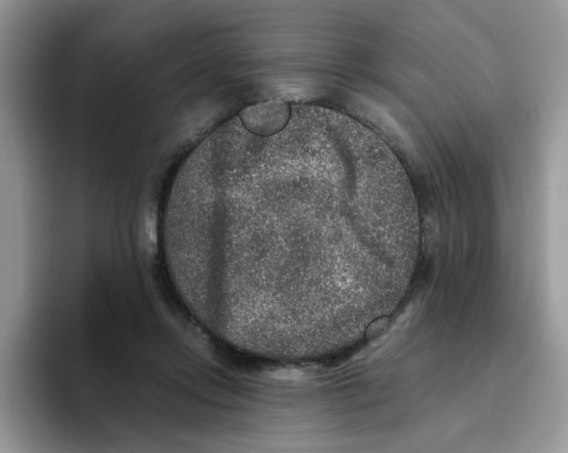 X0000093490358200711091649