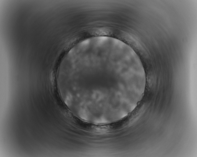 X0000093490359200711091649