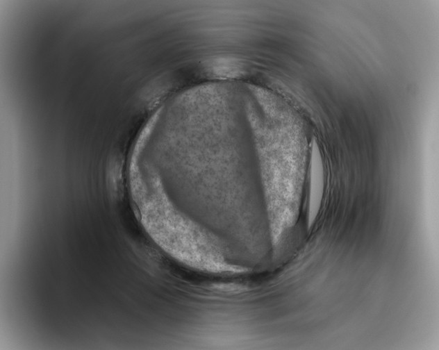 X0000093490360200711091649