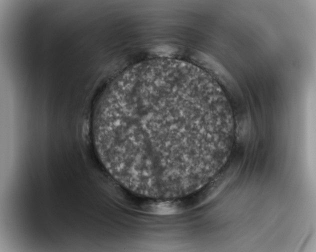 X0000093490365200711091649