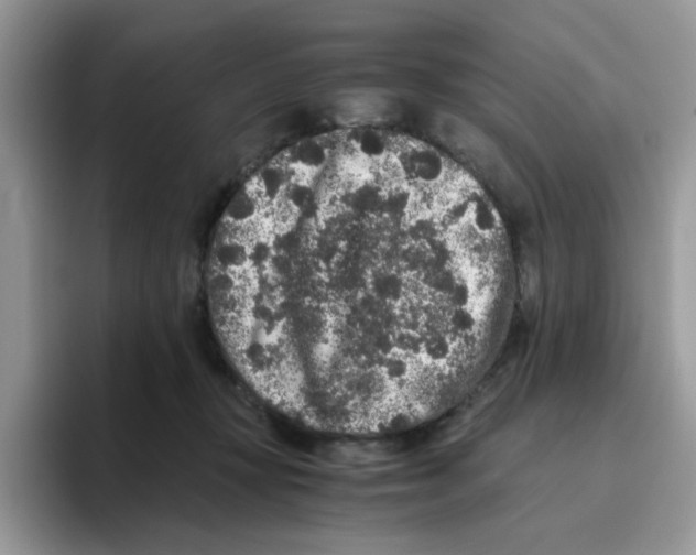 X0000093490367200711091649