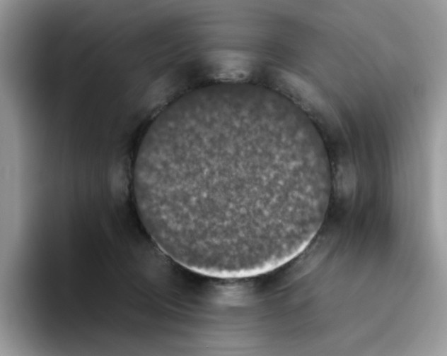 X0000093490370200711091649