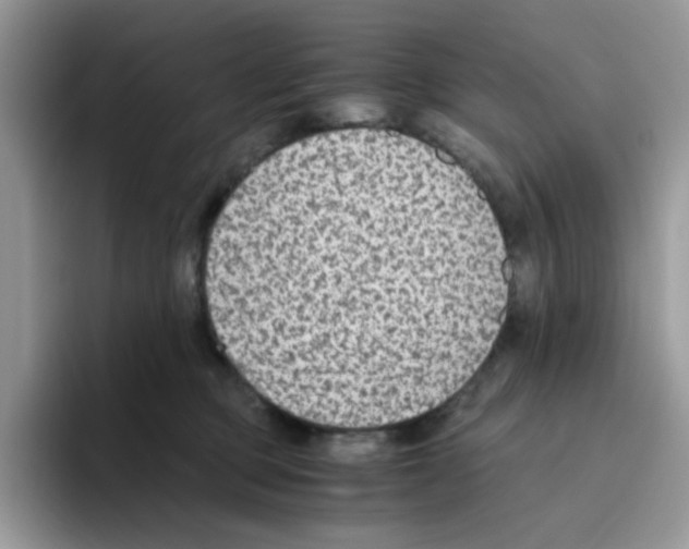 X0000093490373200711091649