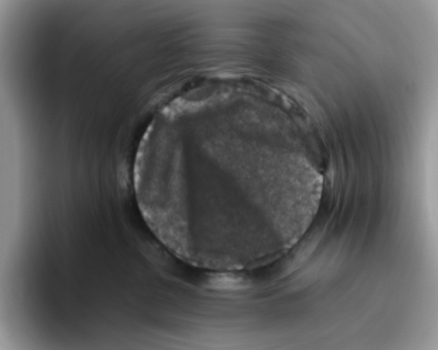 X0000093490380200711091649