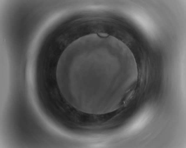 X0000093490383200711091649