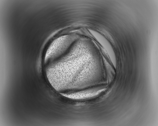 X0000093490388200711091648