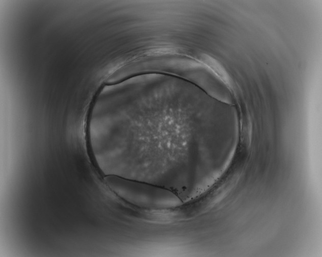 X0000093490389200711091648