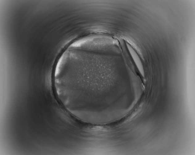 X0000093490390200711091648