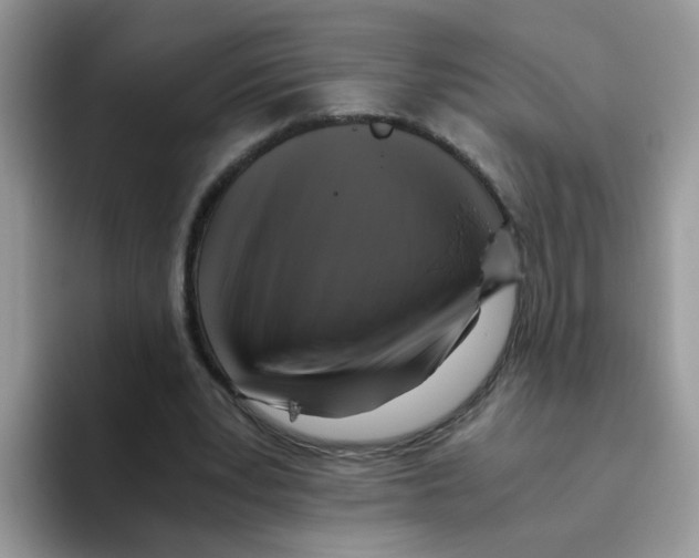 X0000093490391200711091648