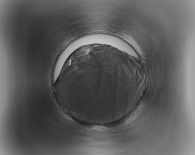 X0000093490393200711091648