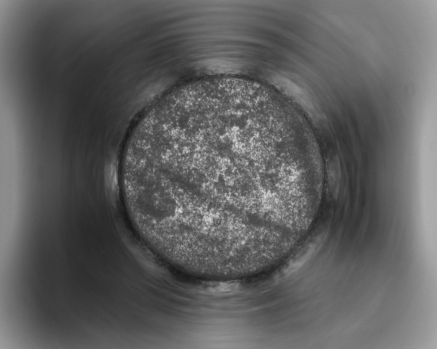 X0000093490398200711091648