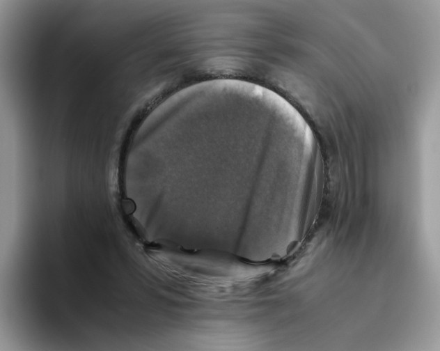 X0000093490399200711091648