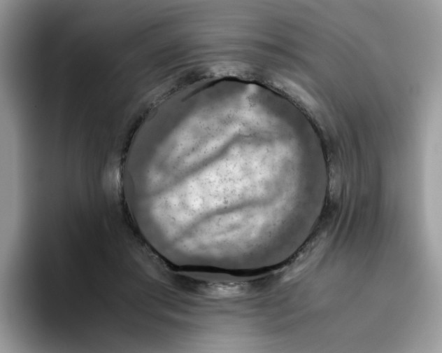 X0000093490405200711091648