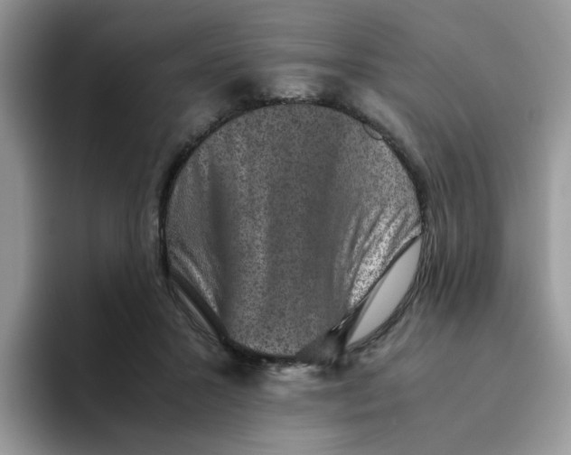 X0000093490407200711091648