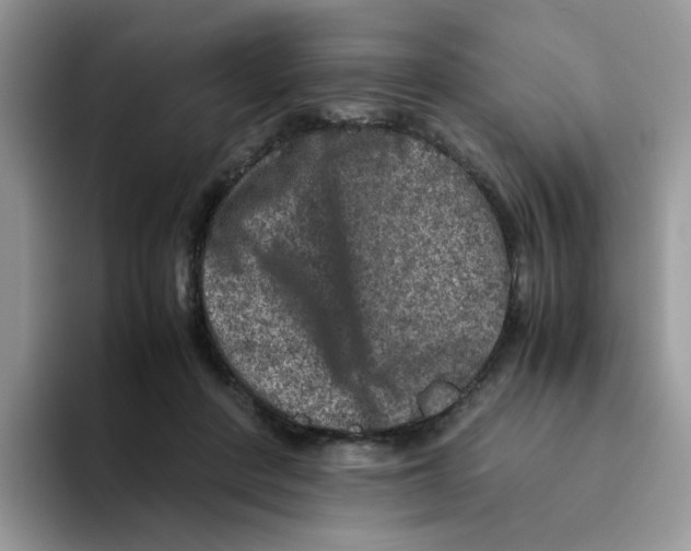 X0000093490408200711091648