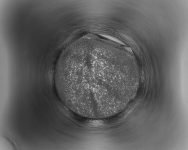 X0000093490409200711091648