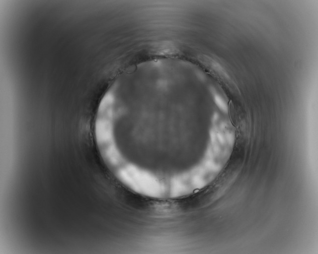 X0000093490415200711091648