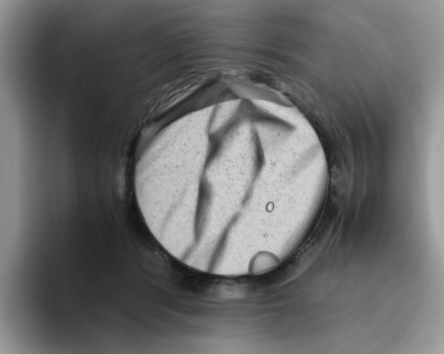 X0000093490416200711091648