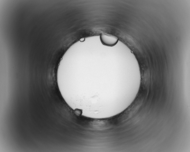 X0000093490418200711091648