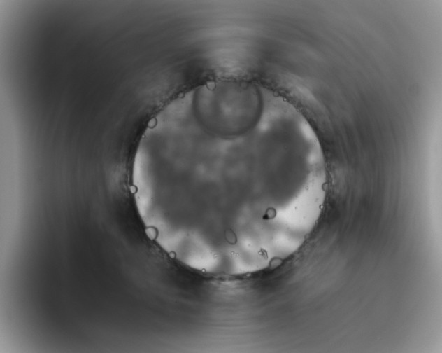 X0000093490419200711091648