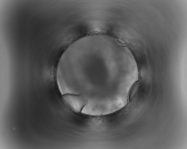 X0000093490423200711091648