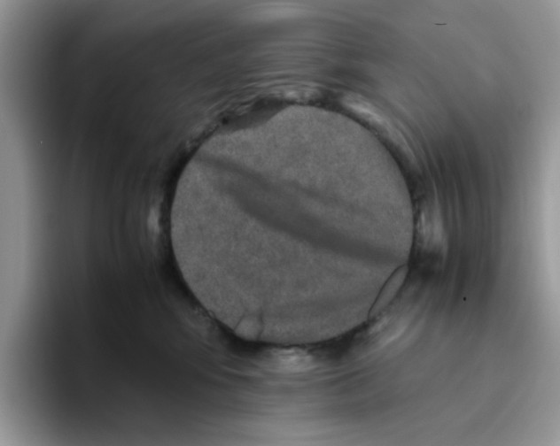 X0000093490424200711091648