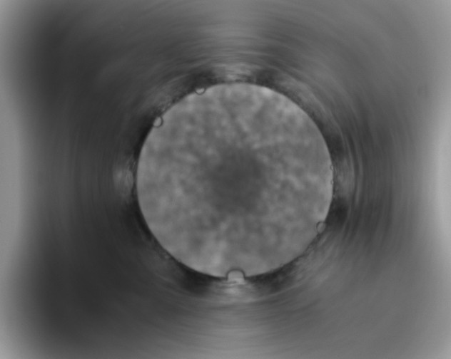 X0000093490427200711091648