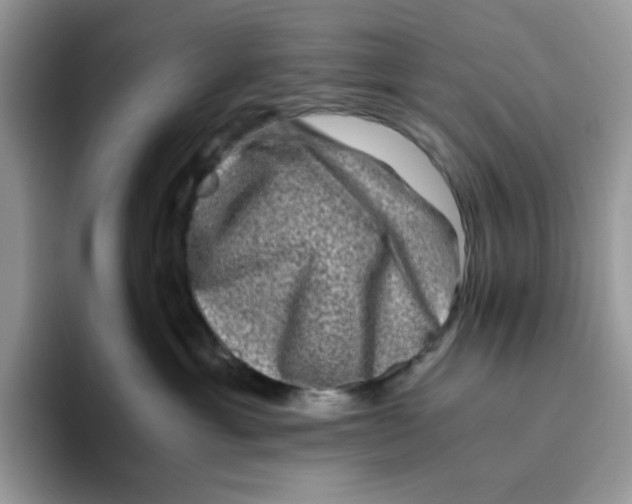 X0000093490429200711091648