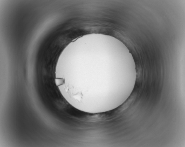 X0000093490430200711091648