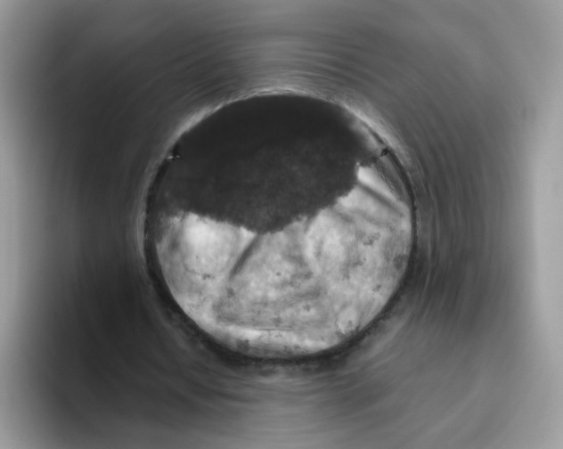 X0000093490434200711091647