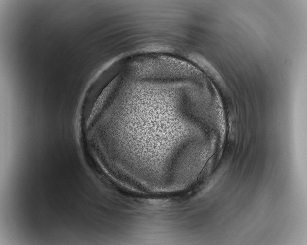 X0000093490436200711091647