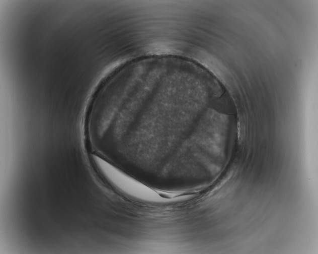 X0000093490438200711091647