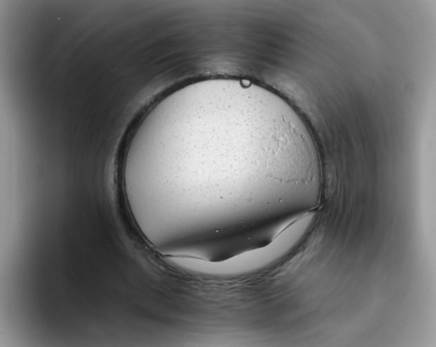 X0000093490439200711091647