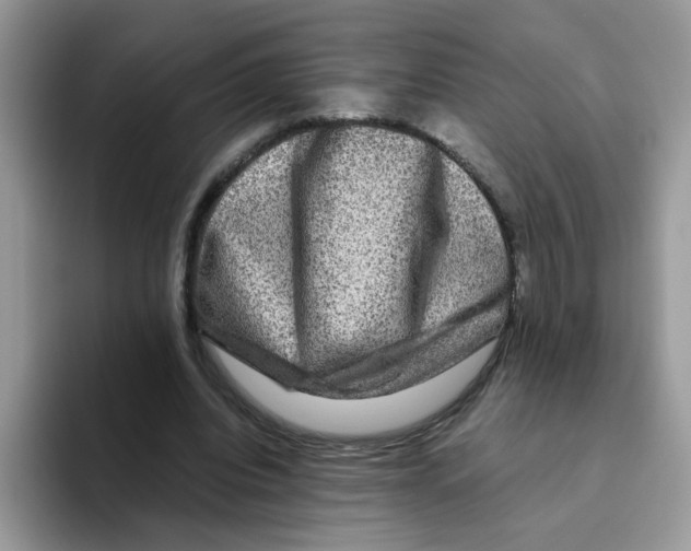 X0000093490440200711091647