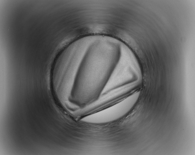 X0000093490442200711091647