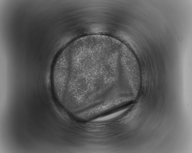 X0000093490443200711091647