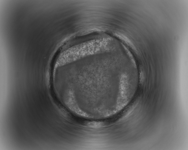 X0000093490444200711091647