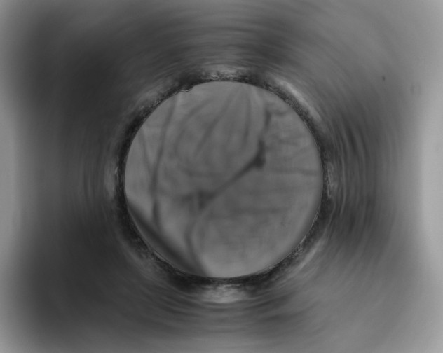 X0000093490451200711091648