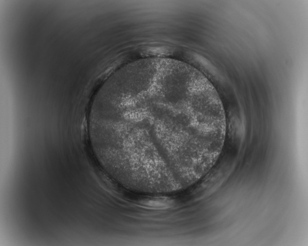 X0000093490459200711091648