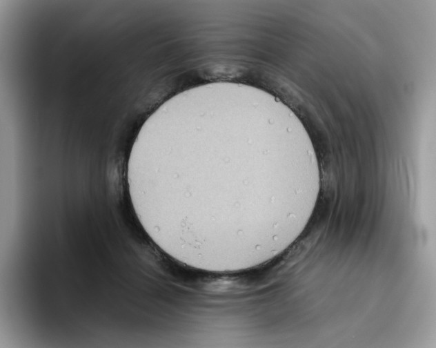 X0000093490460200711091648