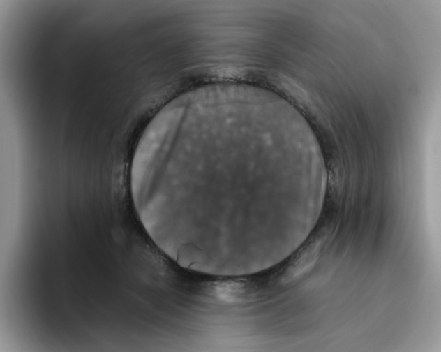 X0000093490462200711091648