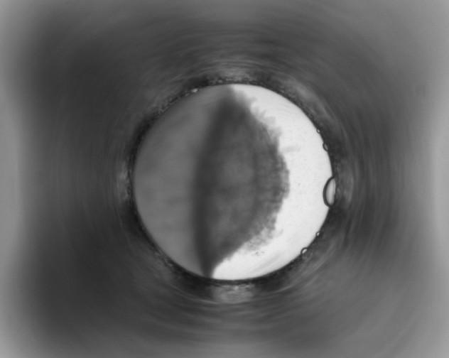 X0000093490465200711091648