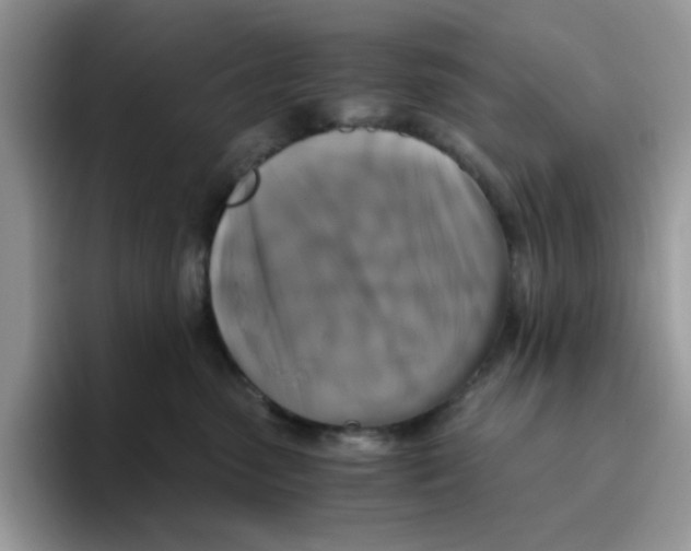 X0000093490475200711091648