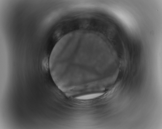 X0000093490479200711091648