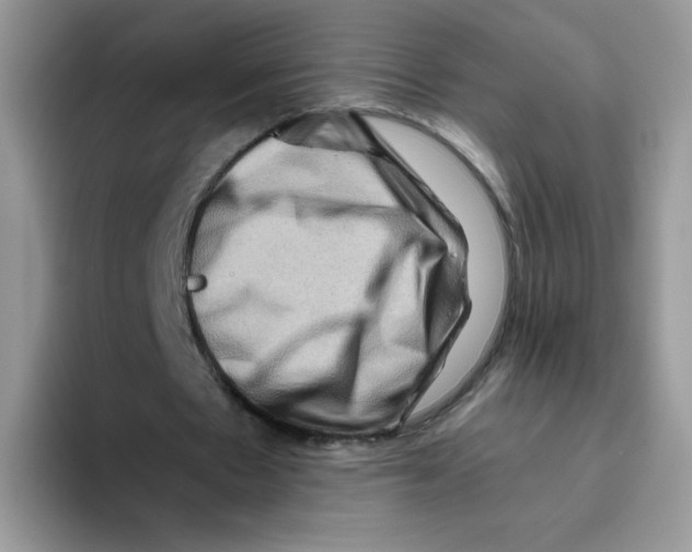 X0000093490481200711091647